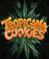 Tropicana Cookies Auto