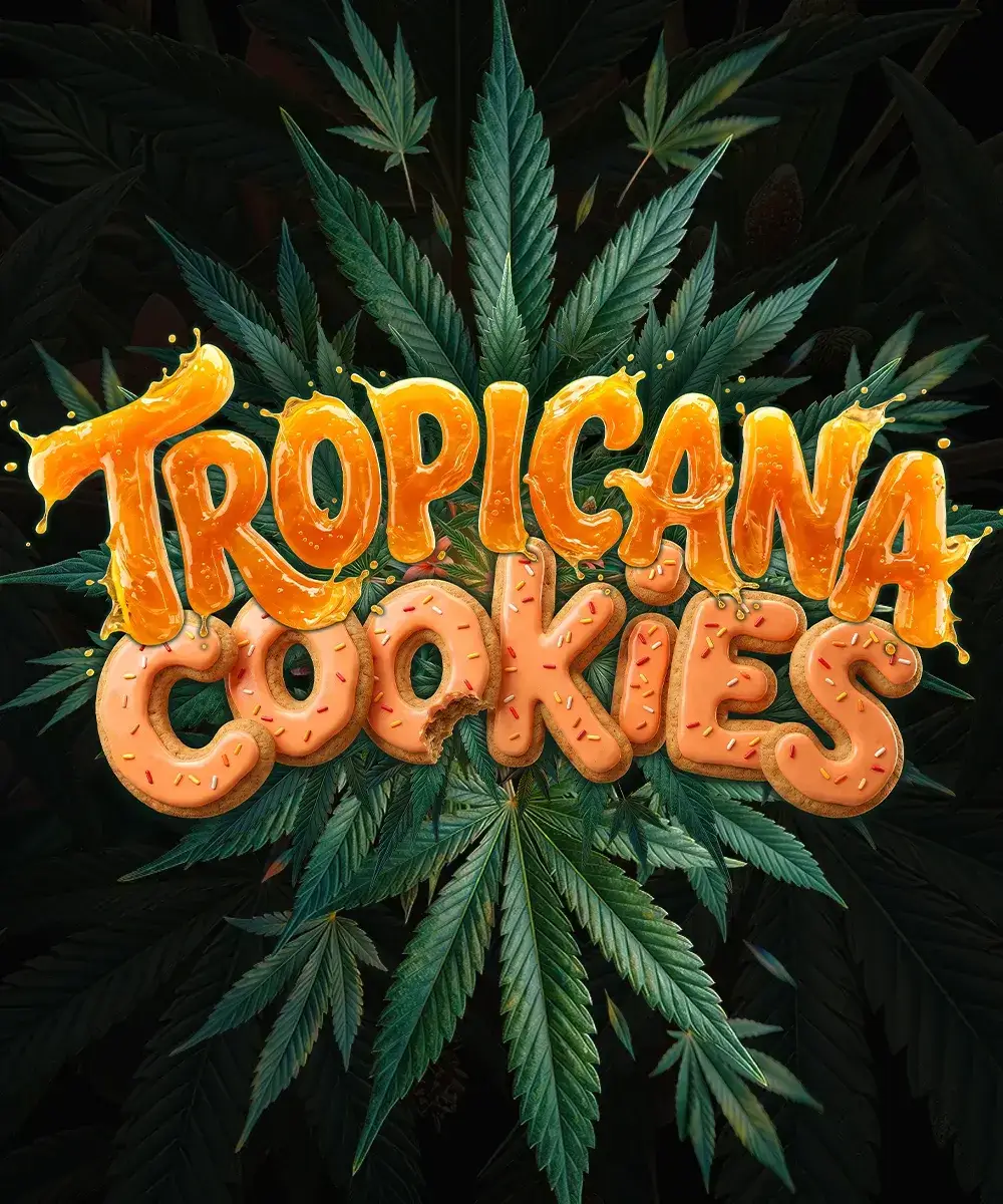 Tropicana Cookies Auto