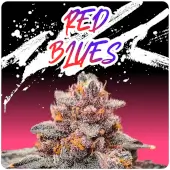 Red Blues
