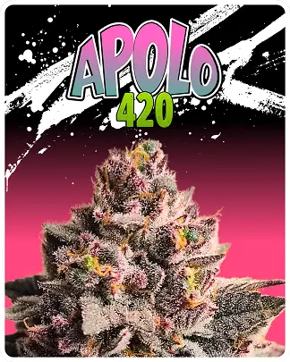Apolo 420