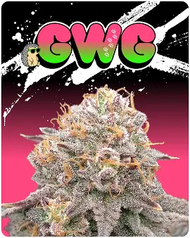 GWG (Go With Grandma)