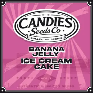 Banana Jelly x Ice Cream Cake