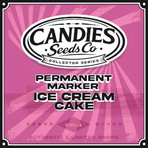 Permanent x Marker Ice Cream Cake