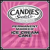 Permanent Marker x Ice Cream Cake