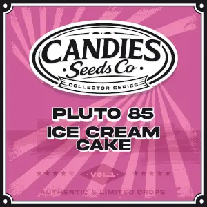 Pluto 85 x Ice Cream Cake