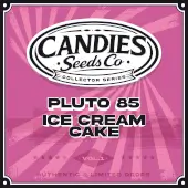 Pluto 85 x Ice Cream Cake