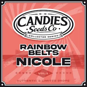 Rainbow Belts x Nicole