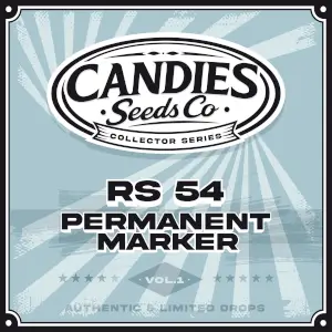 RS 54 x Permanent Marker