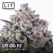 LIT OG F2