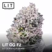LIT OG F2