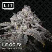 LIT OG F2
