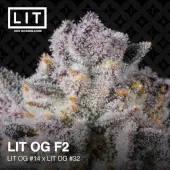 LIT OG F2