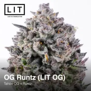 OG Runtz (LIT OG)