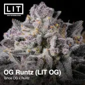 OG Runtz (LIT OG)