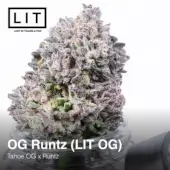 OG Runtz (LIT OG)