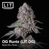 OG Runtz (LIT OG)