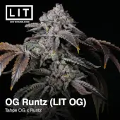 OG Runtz (LIT OG)