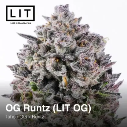OG Runtz (LIT OG)