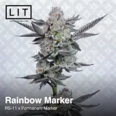 Rainbow Marker