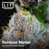 Rainbow Marker