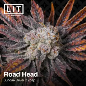 Road Head