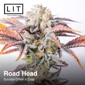 Road Head