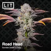 Road Head