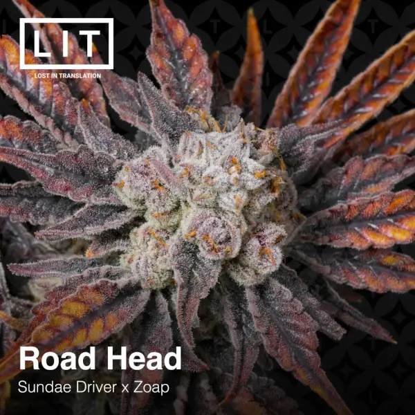 Road Head
