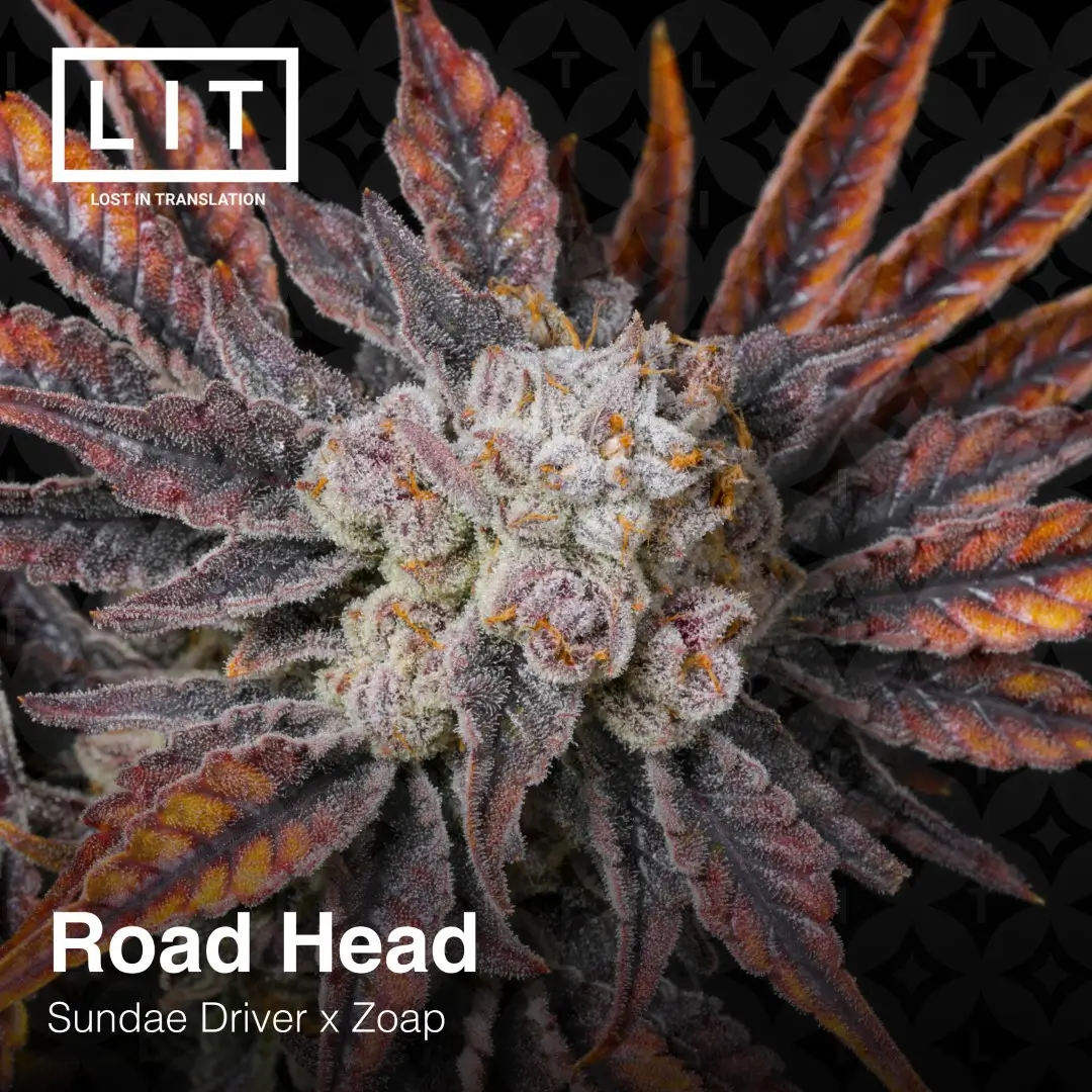 Road Head