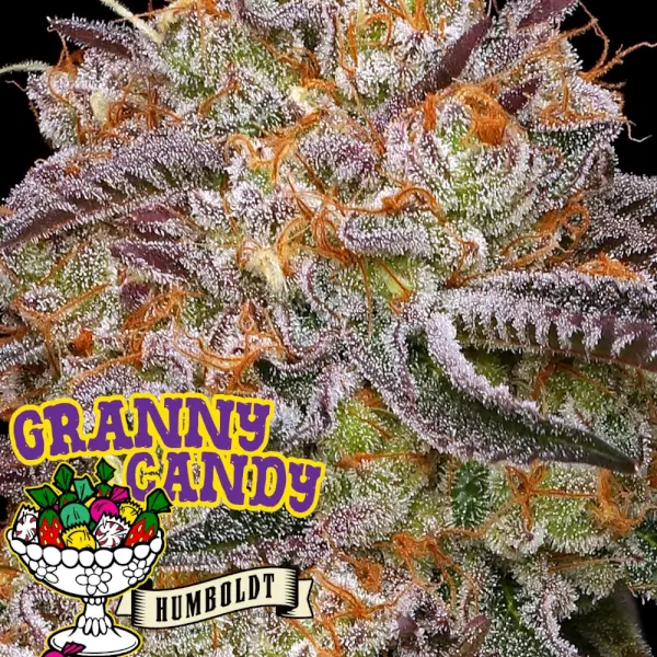 Granny Candy