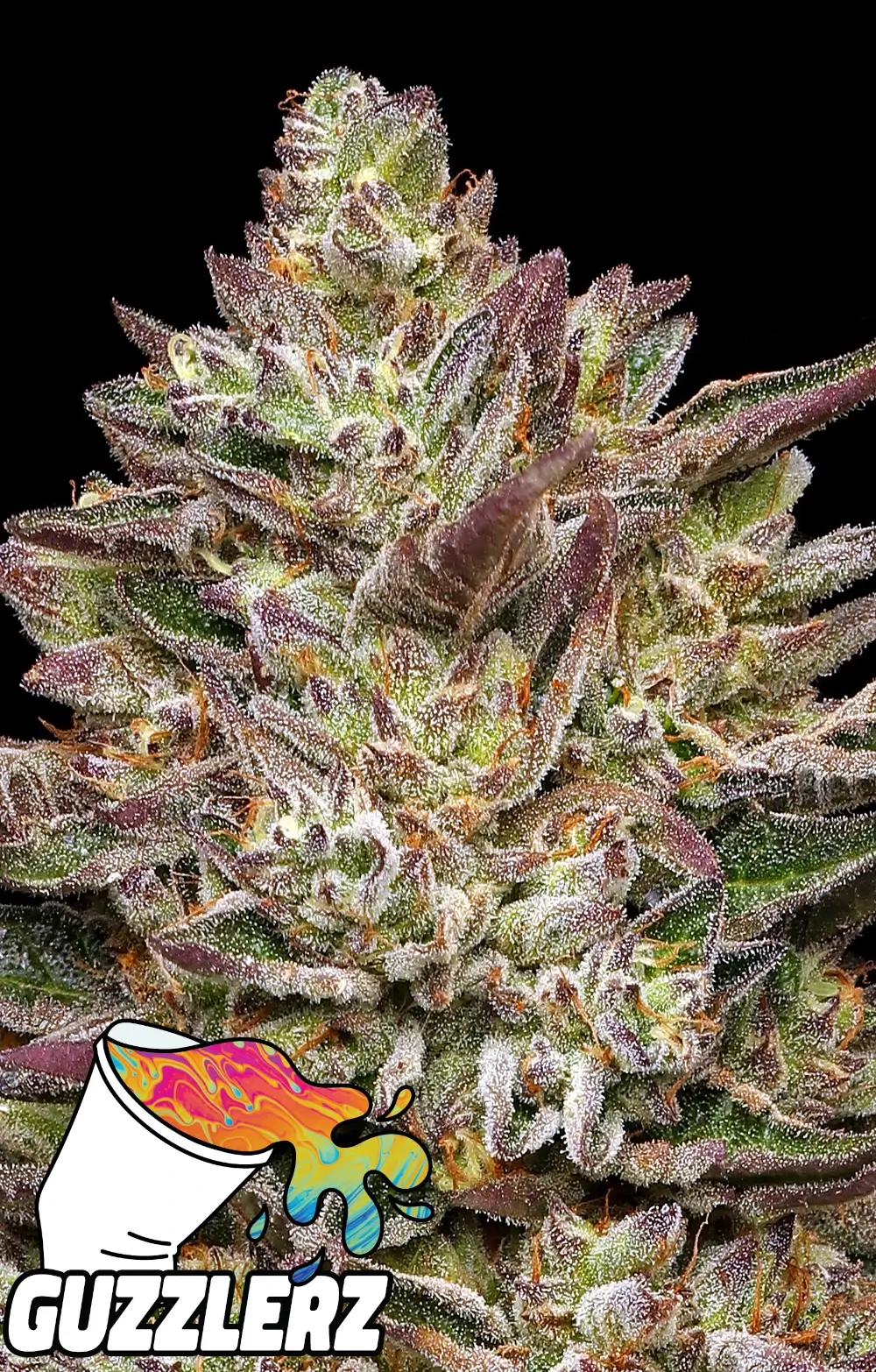 Guzzlerz