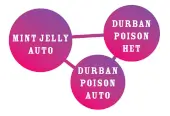 Durban Poison Auto