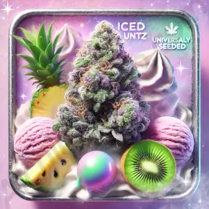 Iced Runtz