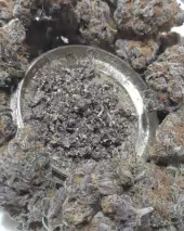 Orange an Berriez