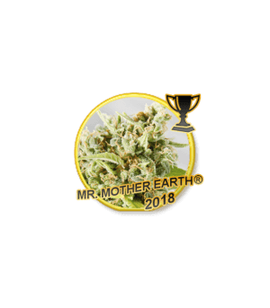 Mr Mother Earth