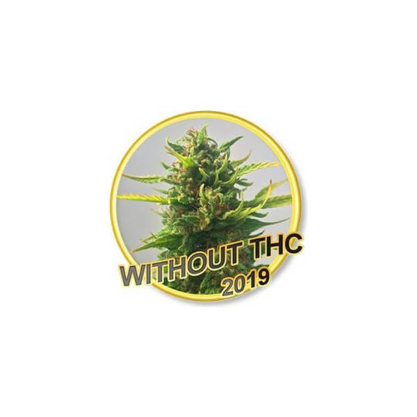 Without THC