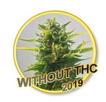 Without Thc