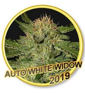 White Widow Auto