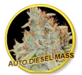 Auto Diesel Mass