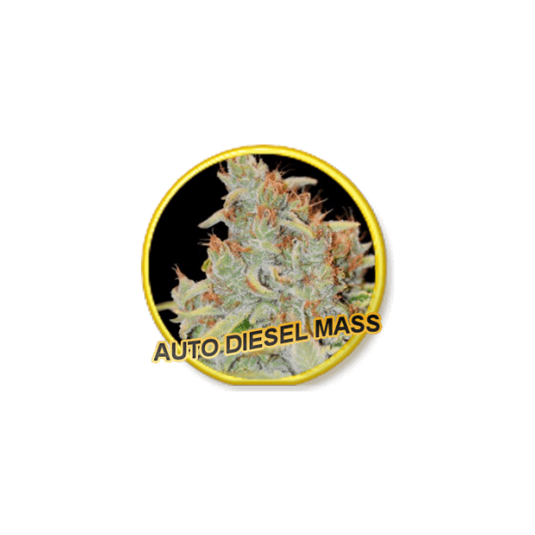Auto Diesel Mass