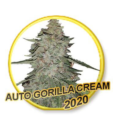 Gorilla Cream Auto