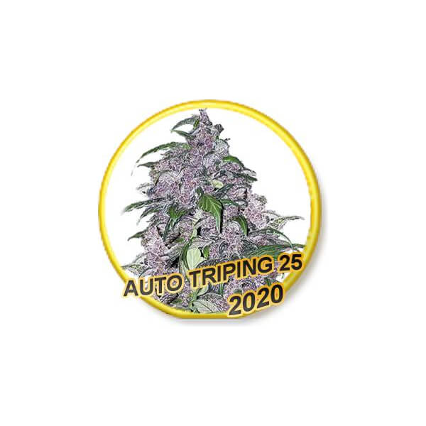 Auto Triping 25