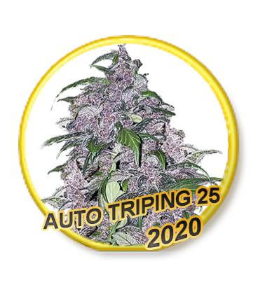 Triping 25 Auto