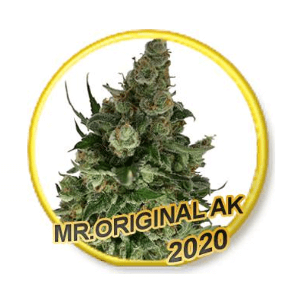 Mr. Original AK