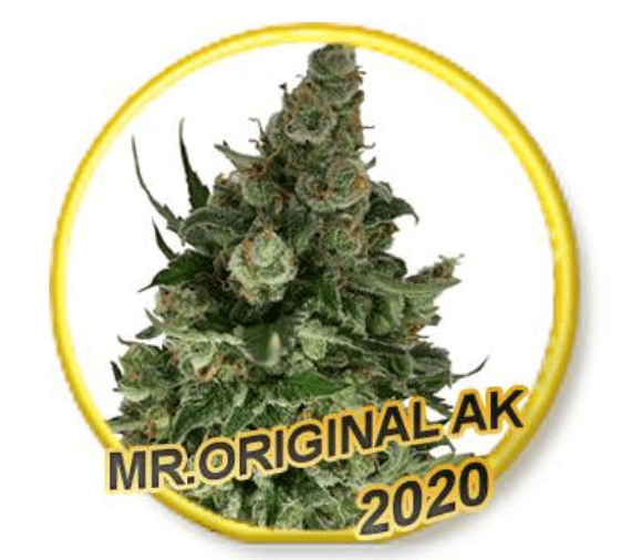 Mr. Original Ak