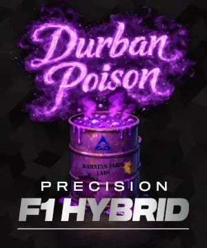 Durban Poison F1