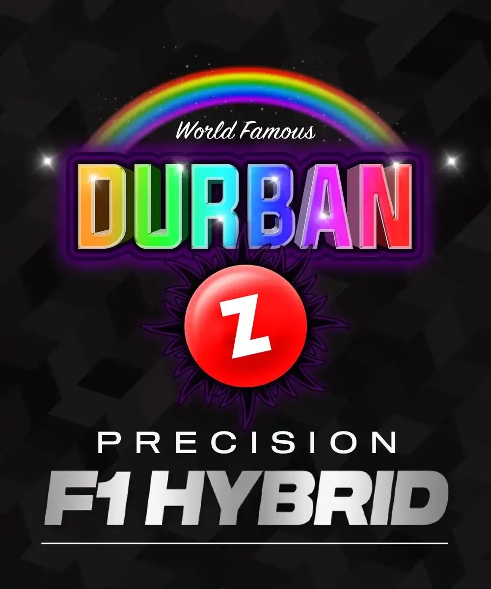 Durban Z