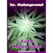 Auto Melon Gum