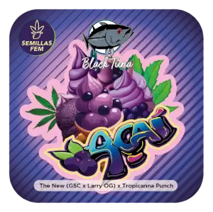 Açaí