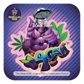 Açaí